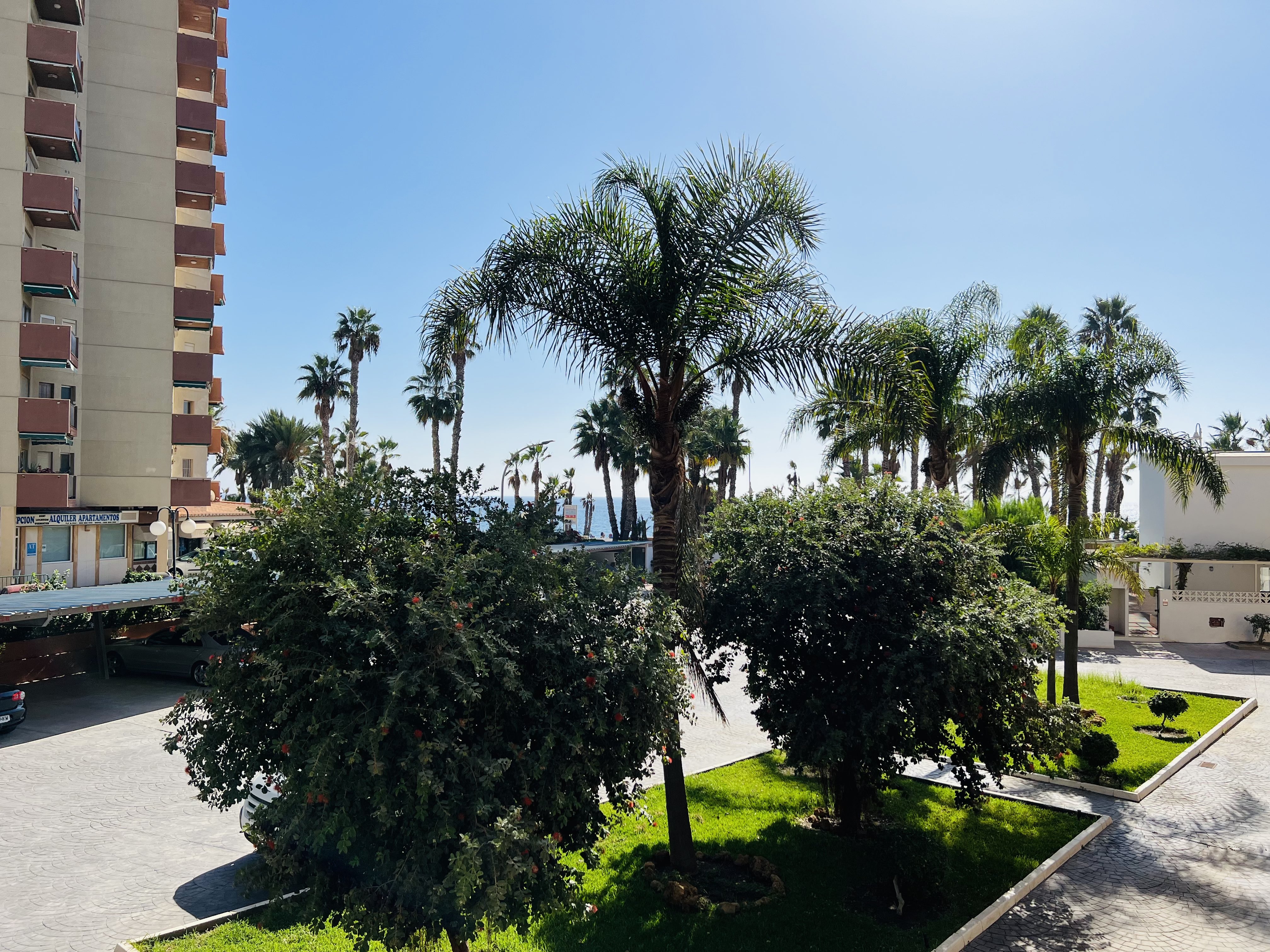 APARTAMENTO EN PASEO REINA SOF�A 