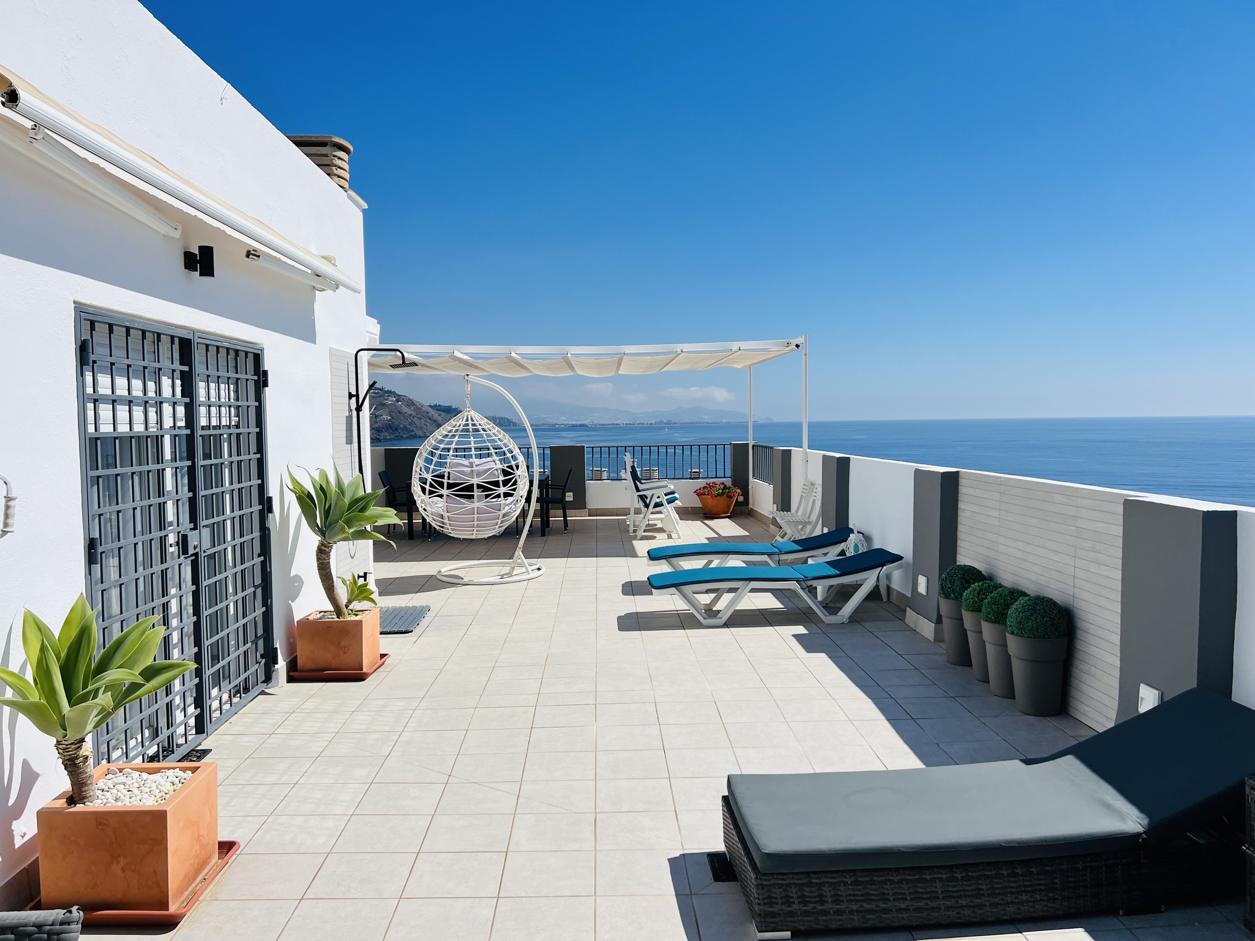 �TICO EN PASEO DE VELILLA