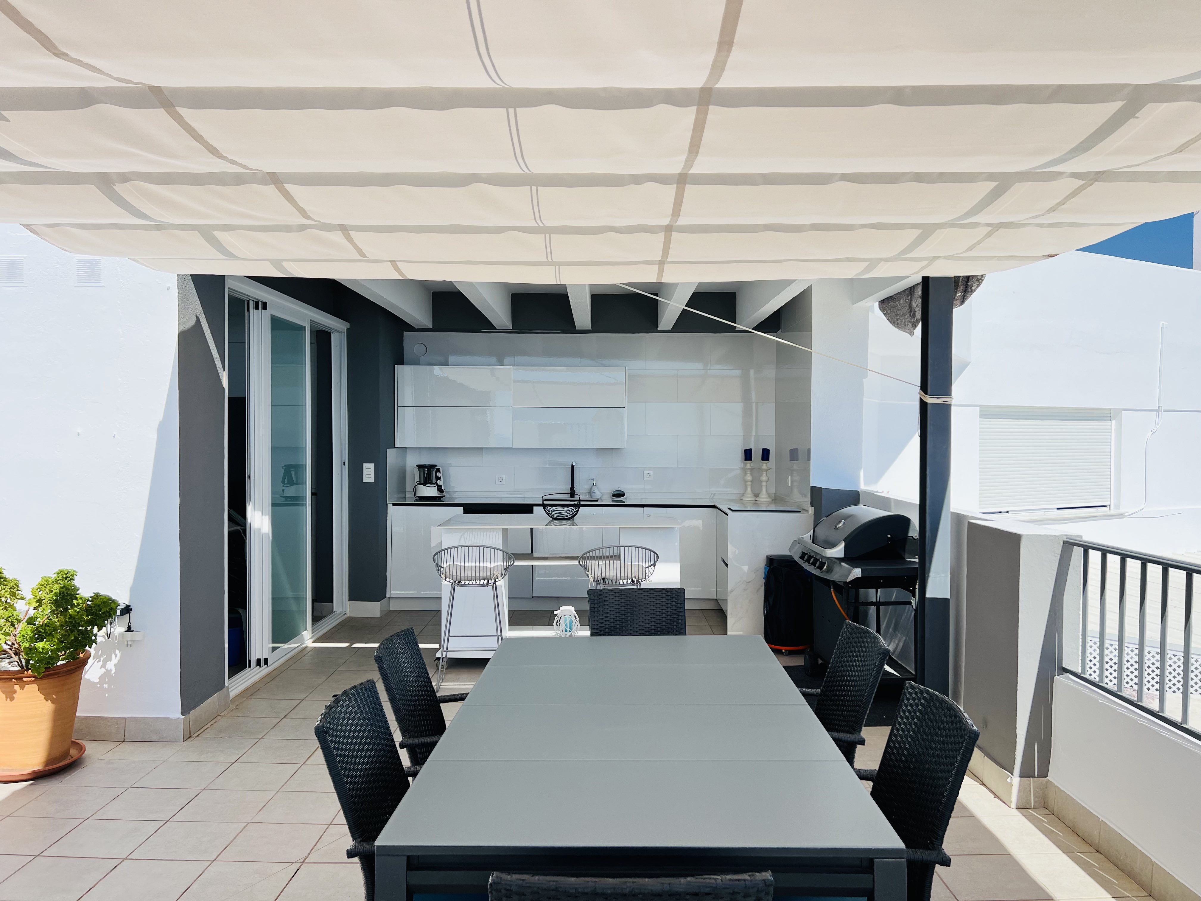 �TICO EN PASEO DE VELILLA