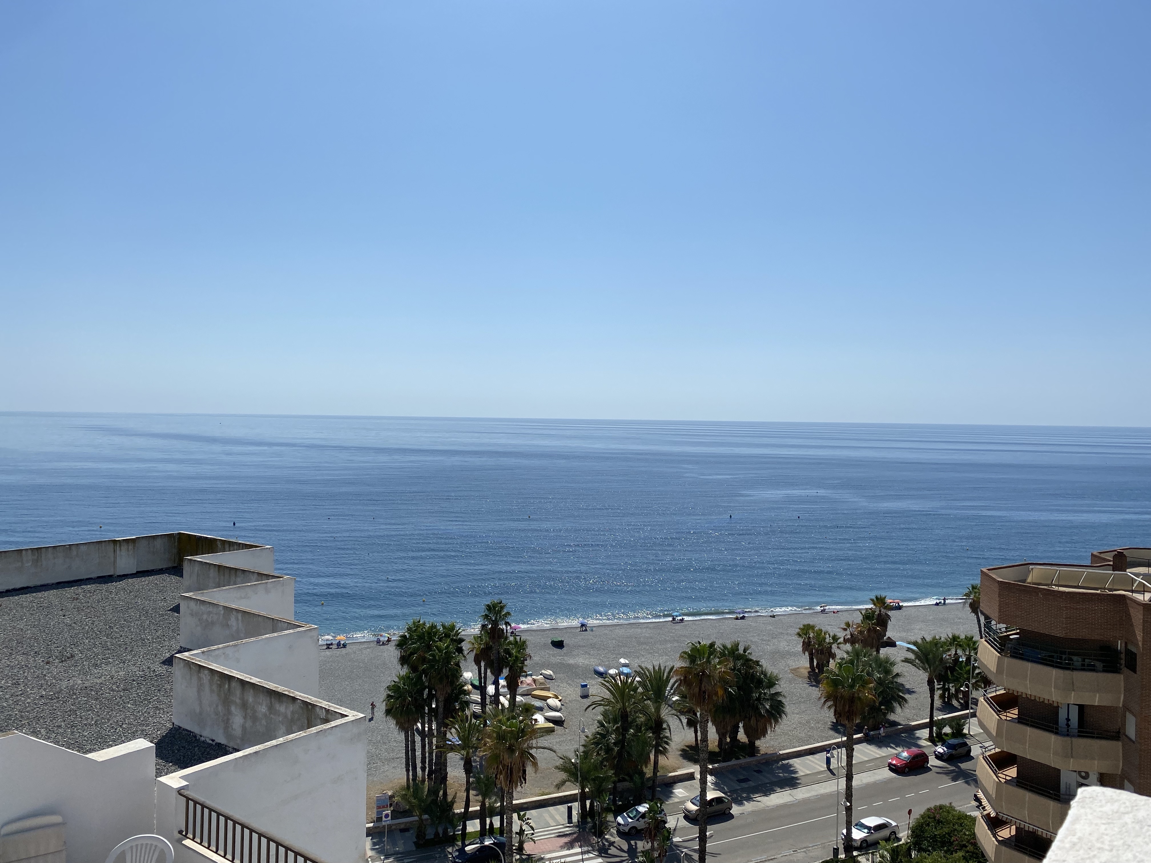 �TICO EN PASEO DE VELILLA