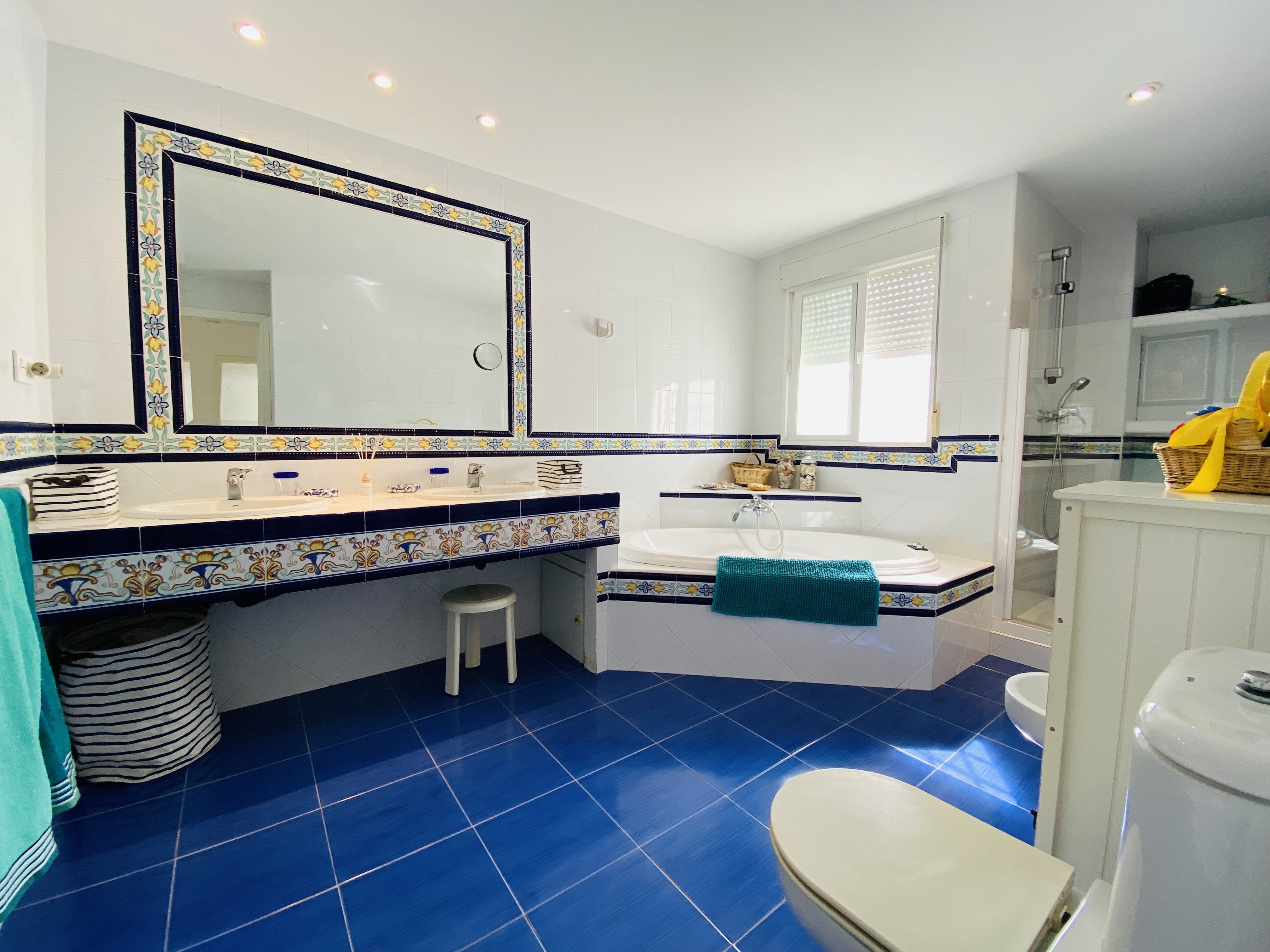 �TICO EN PASEO DE VELILLA