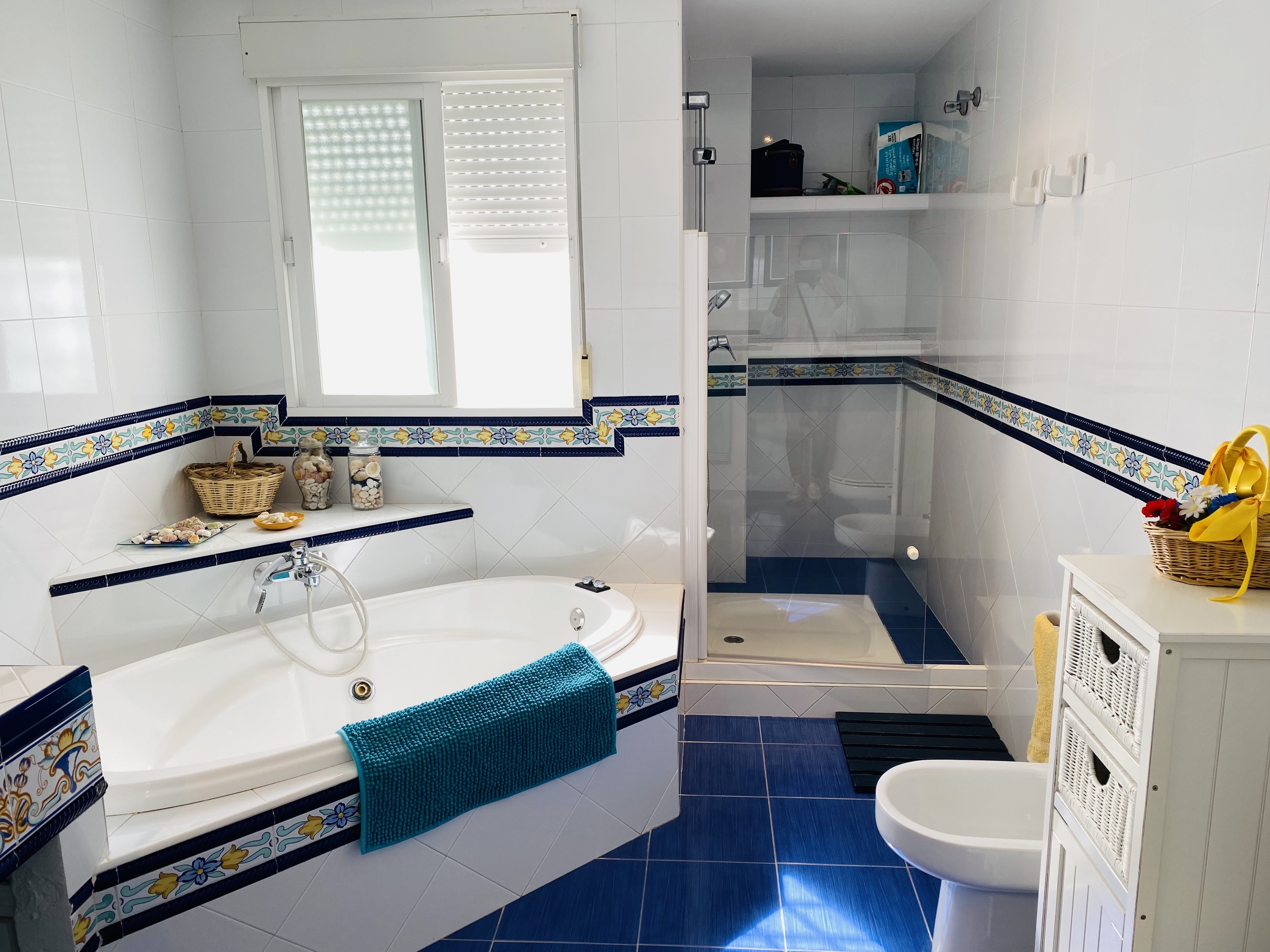 �TICO EN PASEO DE VELILLA