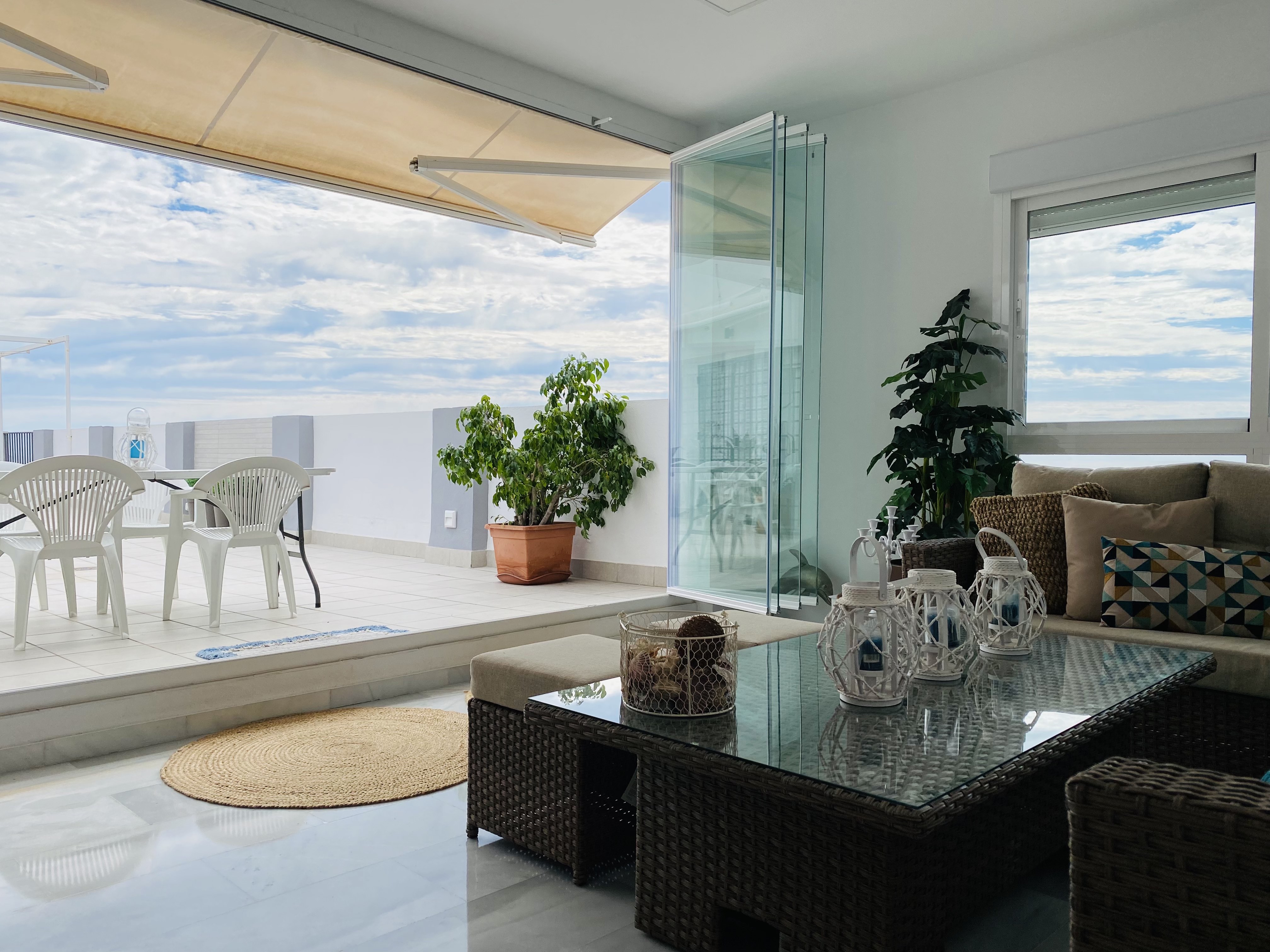 �TICO EN PASEO DE VELILLA