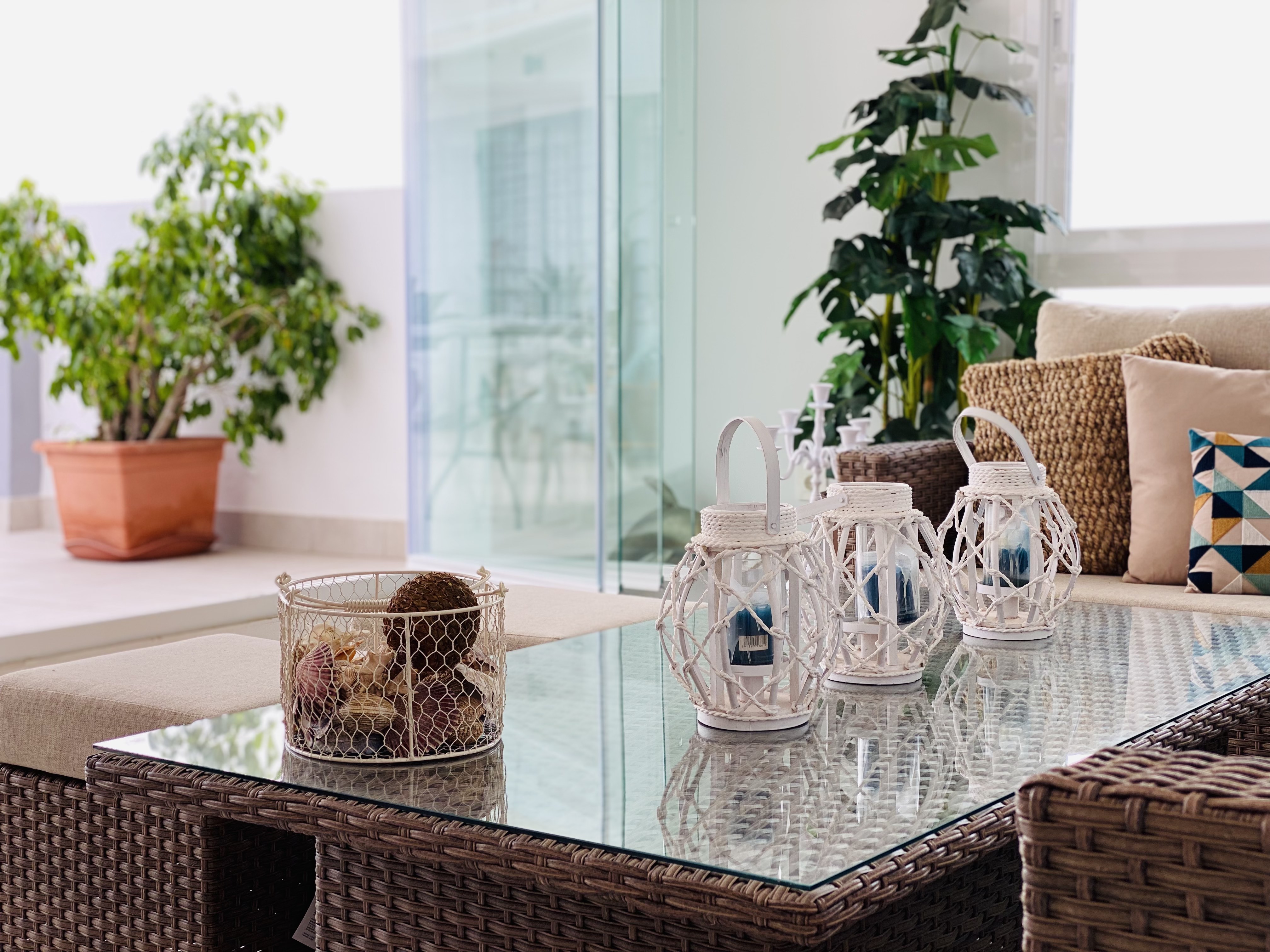 �TICO EN PASEO DE VELILLA