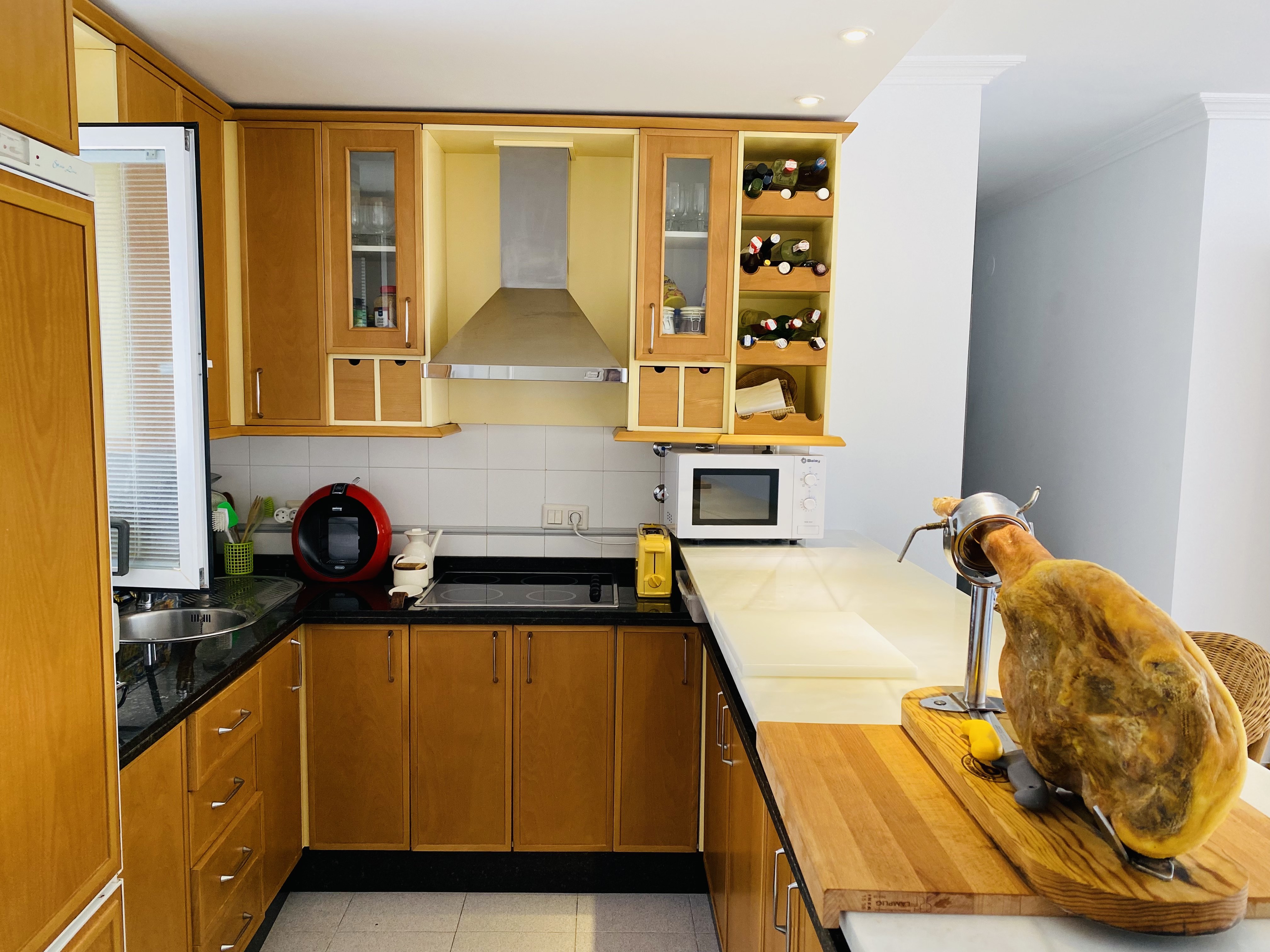 �TICO EN PASEO DE VELILLA