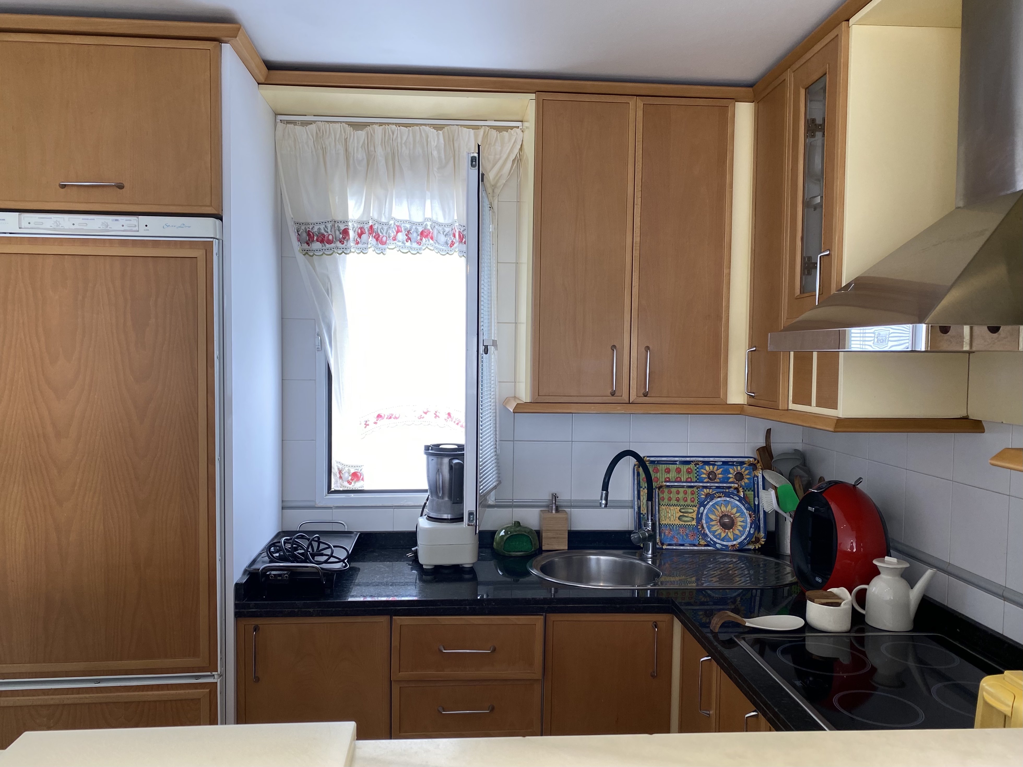 �TICO EN PASEO DE VELILLA