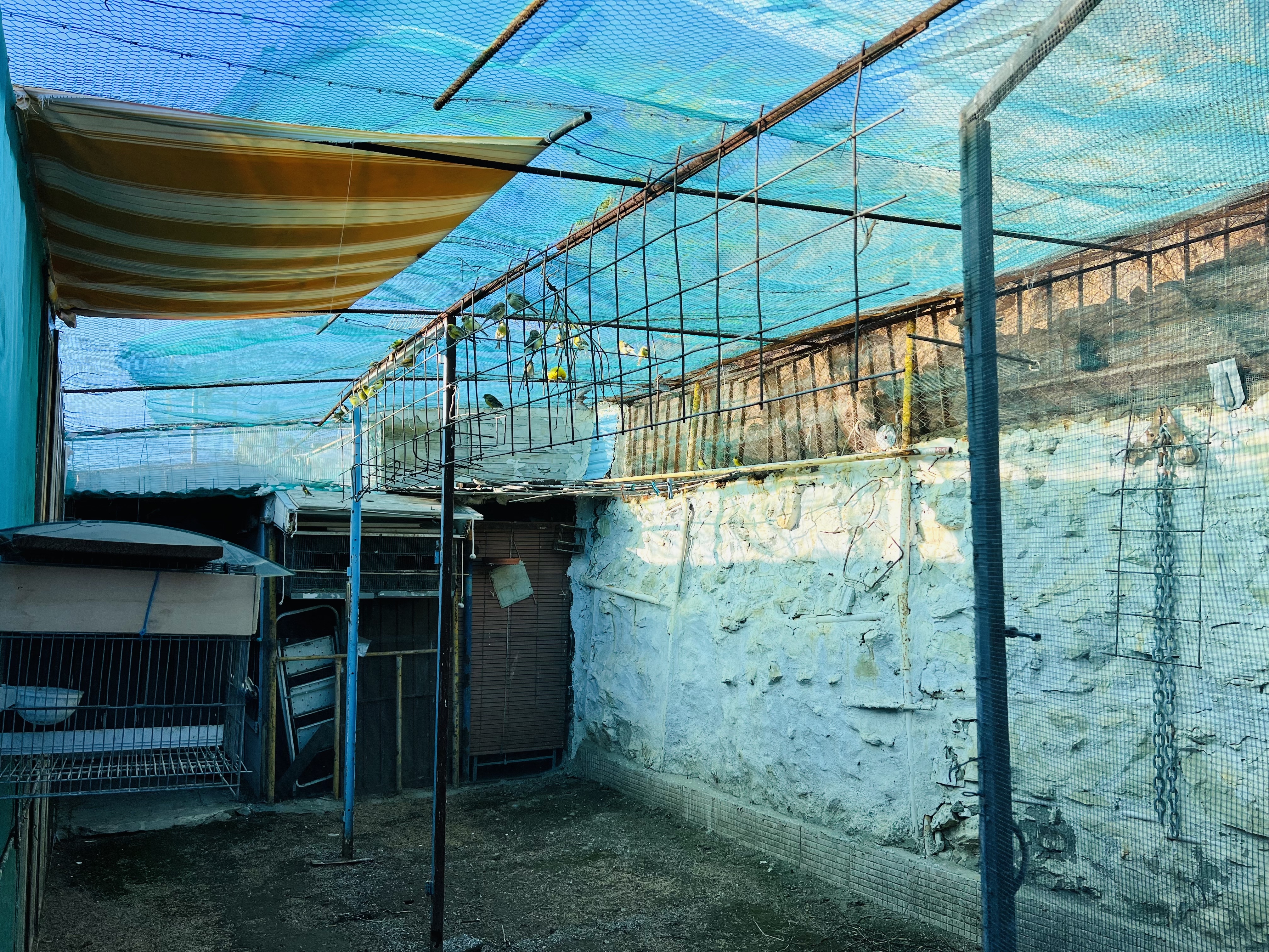 PRECIOSA CASA DE CAMPO EN �LOMA DEL GATO�